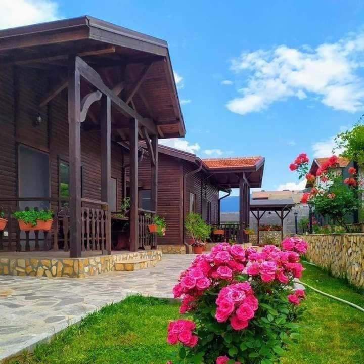 Andreevite Houses Sapareva Banya Exterior photo